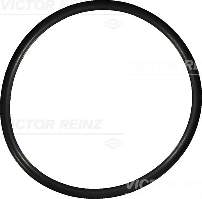 Seal Ring